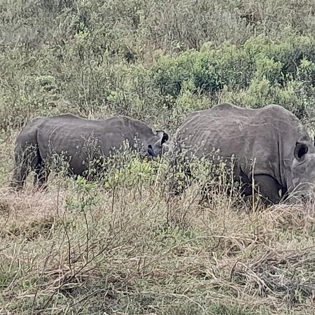 Hluhluwe Gate Safari Camp Hotell Eksteriør bilde
