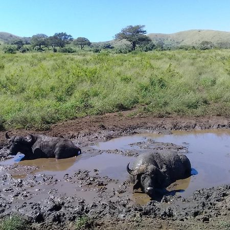 Hluhluwe Gate Safari Camp Hotell Eksteriør bilde